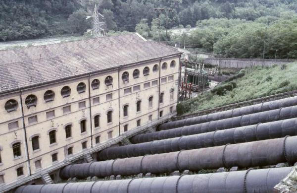 condotta forzata 